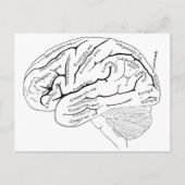 Kaart van de 19e eeuw van de hersenen -  kunstgesc (Voorkant)