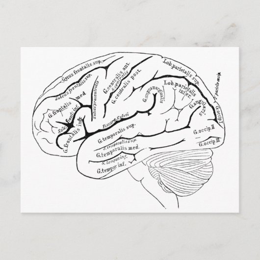 Kaart van de 19e eeuw van de hersenen - kunstgesc (Voorkant)