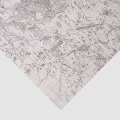  kaart van de Adirondacks New York Tissuepapier (Detail)