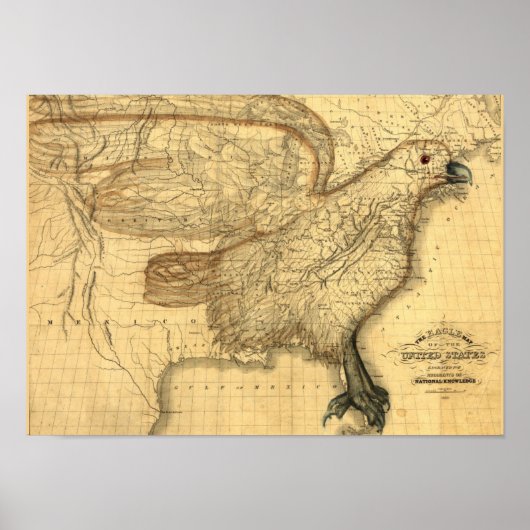  kaart van de Amerikaanse adelaar Poster (Voorkant)