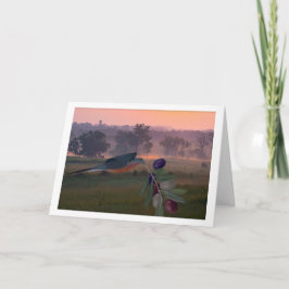 Kaart van de Amerikaanse eenheid