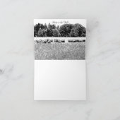 KAART VAN DE BEELDVELD FOTO ANIMAAL (Binnen)