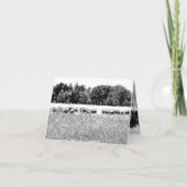 KAART VAN DE BEELDVELD FOTO ANIMAAL (Achterkant)