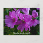 Kaart van de boommalva (Voorkant)