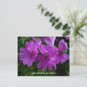 Kaart van de boommalva (Staand voorkant)