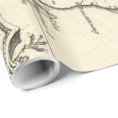  kaart van de Chesapeake Bay (1752) Cadeaupapier (Rol Hoek)