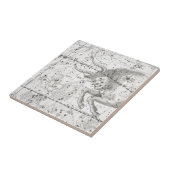 Kaart van de Constellaties Bord XIV Tegeltje (Zijkant)