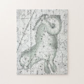 Kaart van de constellaties Bord XXIII Legpuzzel (Verticaal)