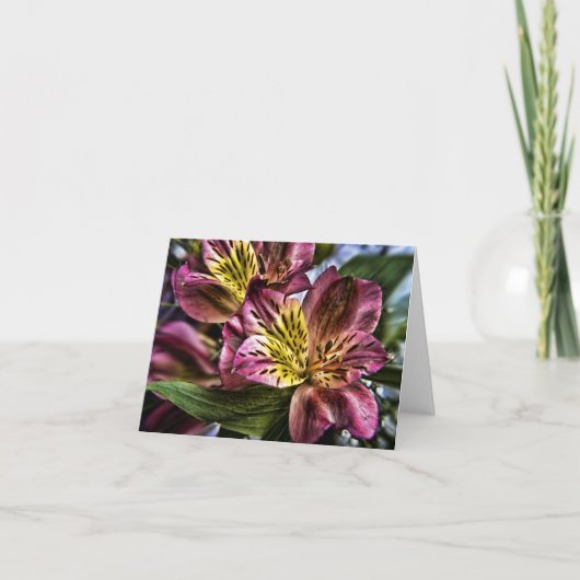 Kaart van de de bloemnota van de Lelie van (Voorkant)