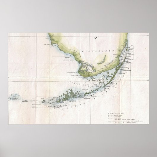  kaart van de Florida Keys (1852) Poster (Voorkant)