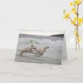 Kaart van de Foto van het golden retriever de Lege (Gele Bloem)