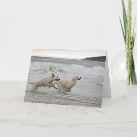 Kaart van de Foto van het golden retriever de Lege (Voorkant)