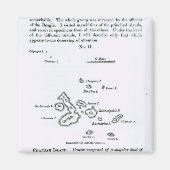 Kaart van de Galapagos-archipel, 1844 Magneet (Voorkant)