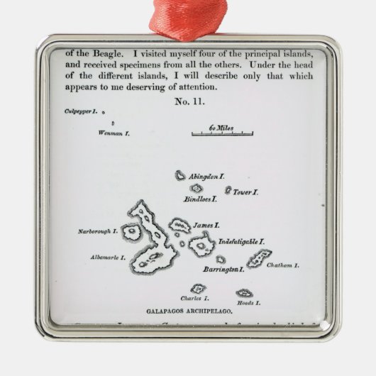 Kaart van de Galapagos-archipel, 1844 Metalen Ornament (Voorkant)