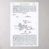 Kaart van de Galapagos-archipel, 1844 Poster (Voorkant)