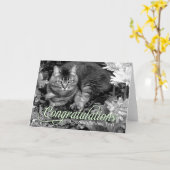 Kaart van de Gelukwensen van de Kat van de tuin de (Gele Bloem)