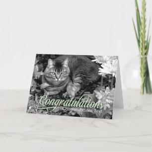 Kaart van de Gelukwensen van de Kat van de tuin de
