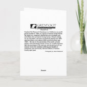 Kaart van de Gestreepte kat van de Redding van de (Achterkant)