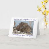 KAART VAN DE "GROEP" VOOR KANTOOR EN VRIENDEN C (Gele Bloem)