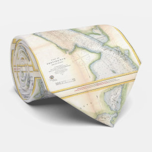 kaart van de haven van Providence Rhode Island (1 Stropdas