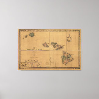 Kaart van de Hawaï (1876) Canvas Afdruk