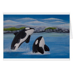 Kaart van de "Killer Whale" (Orca)