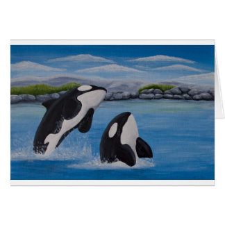 Kaart van de "Killer Whale" (Orca)