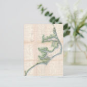 kaart van de kust van North Carolina (1875) (Staand voorkant)