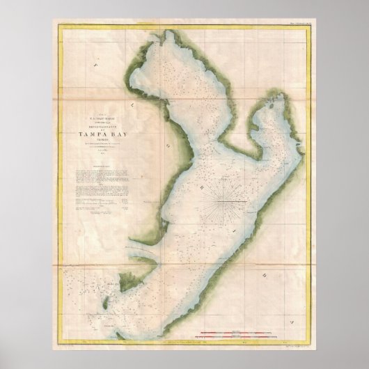  kaart van de kuststrook van Tampa (1855) Poster (Voorkant)