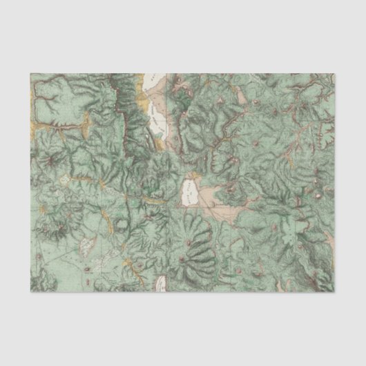 Kaart van de landclassificatie van Nevada Tissuepapier (Voorkant)