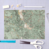 Kaart van de landclassificatie van Nevada Tissuepapier (Craft)