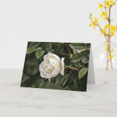 Kaart van de Manuscript van het witte en Zuivere R (Gele Bloem)