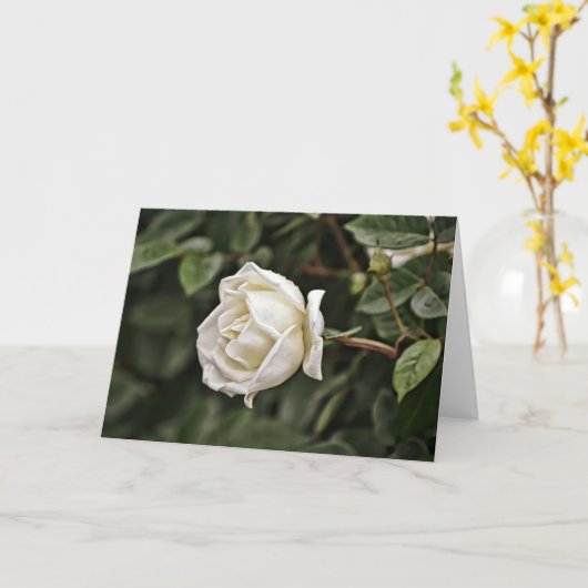 Kaart van de Manuscript van het witte en Zuivere R (Gele Bloem)