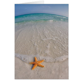 Kaart van de National Seashore Note voor Golf Isla