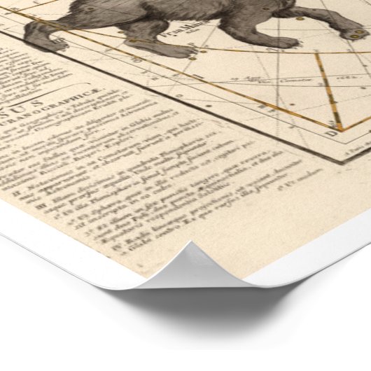  kaart van de Noordpool Poster (Hoek)