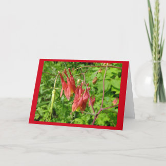Kaart van de Nota van de Bloem van de akelei de