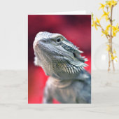 Kaart van de Nota van de draak de Hoofd (Gele Bloem)