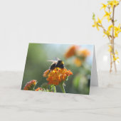 Kaart van de Nota van de HOMMEL de Lege (Gele Bloem)