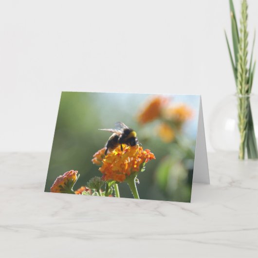 Kaart van de Nota van de HOMMEL de Lege (Voorkant)