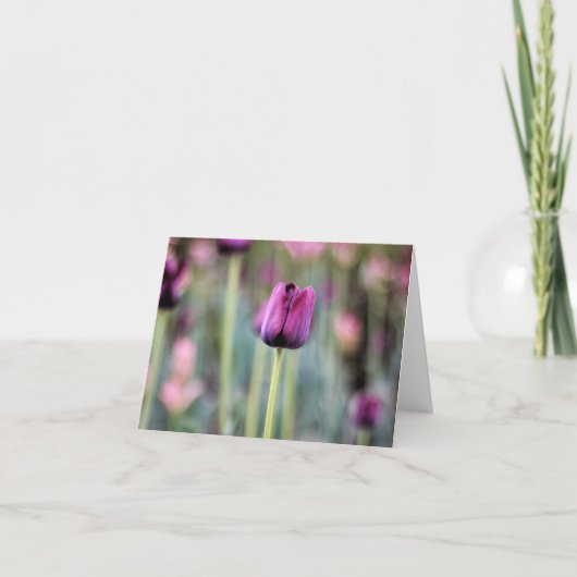 Kaart van de Nota van de Tulp van Tres de Elegante (Voorkant)