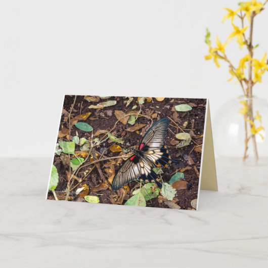 Kaart van de Nota van de vlinder de Lege (Gele Bloem)