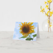 Kaart van de Nota van de zonnebloem de Lege (Gele Bloem)