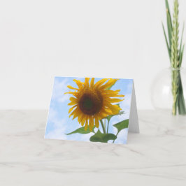 Kaart van de Nota van de zonnebloem de Lege