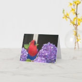 Kaart van de Nota van Eclectus de Kleine (Gele Bloem)