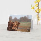 Kaart van de Nota van mamma's de Rode -- Het (Gele Bloem)