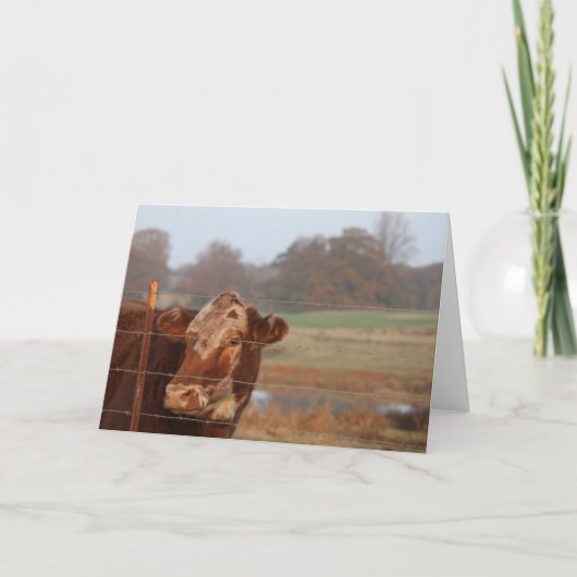 Kaart van de Nota van mamma's de Rode -- Het (Voorkant)