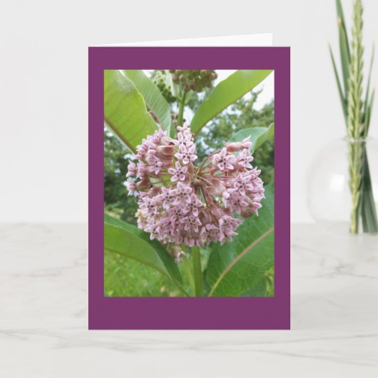 Kaart van de Nota van Milkweed de Lege (Voorkant)