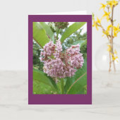 Kaart van de Nota van Milkweed de Lege (Gele Bloem)