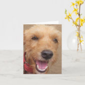 Kaart van de Nota van "Pedro" van de Maatschappij (Gele Bloem)