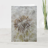 Kaart van de Nota van wensen de Grote (Voorkant)